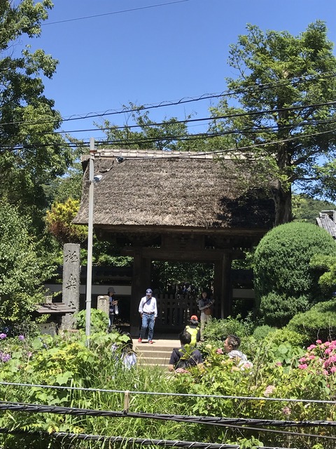 46A50162-B410-43FB-99D5-758ED5C77313