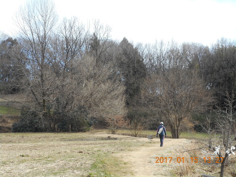 15早野から寺家 094