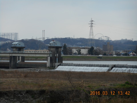 DSCN0868