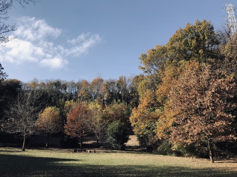 11671A5C-EF9E-4C0B-BB93-57AB22614823