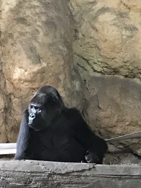 3EB7A056-697E-4BE6-8EDE-43EABB55C439