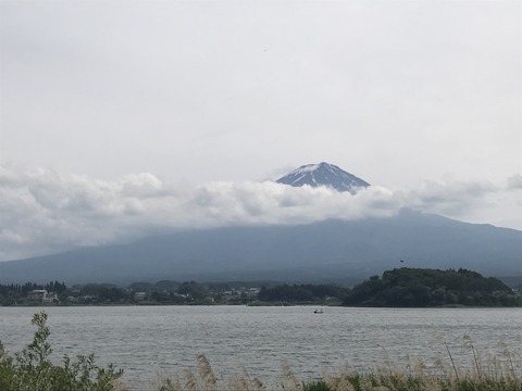 3E27C71D-8E10-4880-986C-AC96A1953577