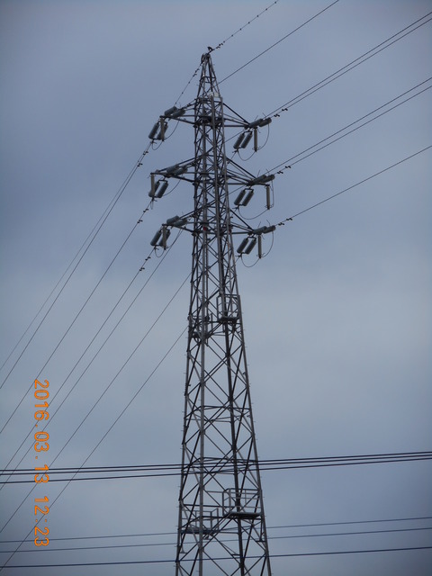 DSCN0907