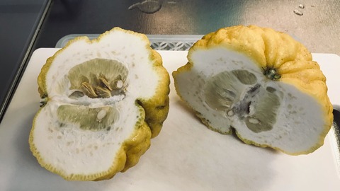 130463A3-2068-4044-95EA-BCB8FD8AA59C