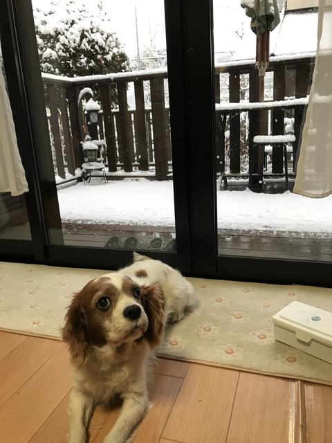 AB2F83B5-872A-460A-94FC-00C7E857740C