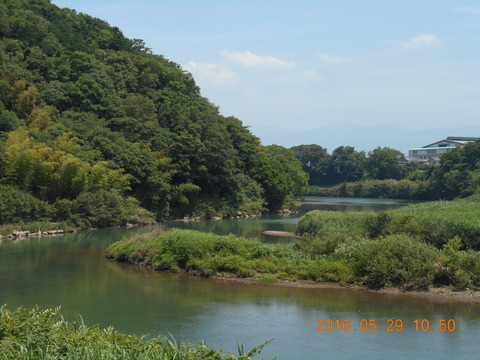 DSCN1242