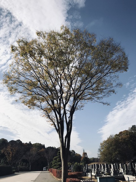 641854A9-C064-4B86-9247-06FCDD158DD2