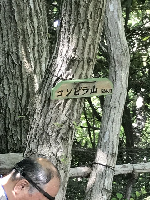 854D7F33-CF05-47F0-A8CB-2782B972E786