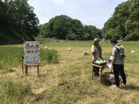 DD32888C-4AA2-4F31-B24F-371C72DC2B43