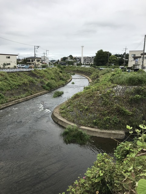 8559FC26-48A0-48D8-BA20-AB926993B08C