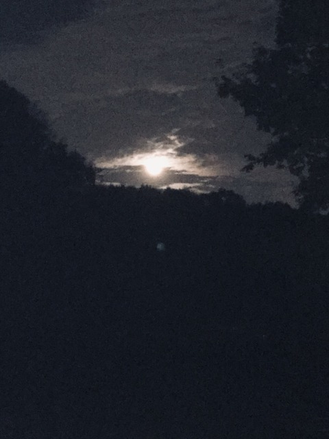 70E0918E-44D3-4B38-B783-FC7C9F9C7409