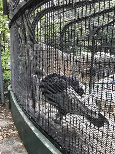 387D2392-75E6-4DC1-8C8A-3FE79EEBE7BD