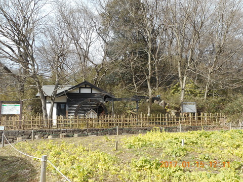 15早野から寺家 067