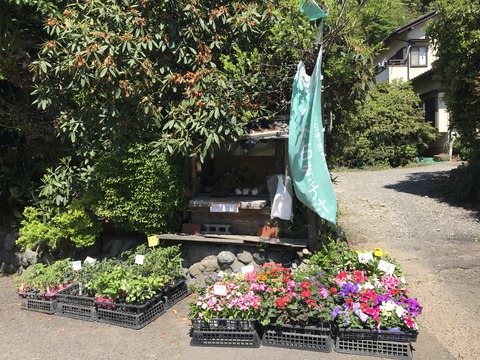 ACC1E60C-5E99-4D73-80EC-AFC5E04D66C5