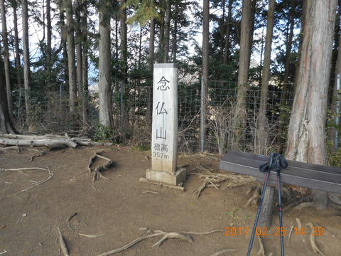 21大山から鶴巻 209