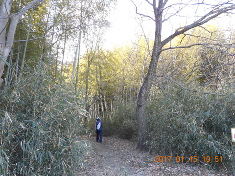 15早野から寺家 007