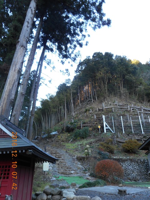 画像101奥高尾 002