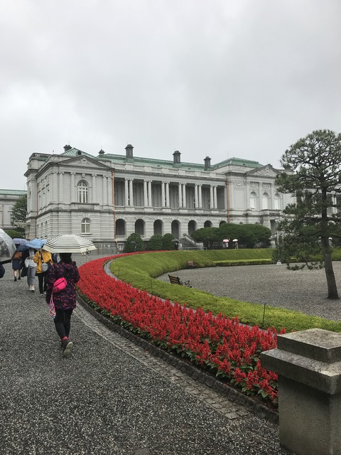 D2A6A443-C7B8-4D1E-8281-F1708C854091