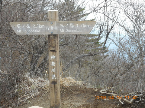 DSCN0971