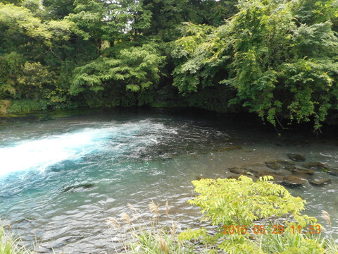 DSCN1262