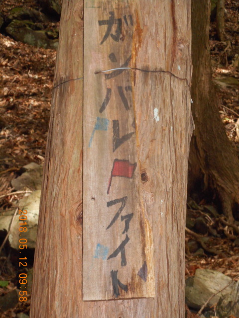 DSCN2870
