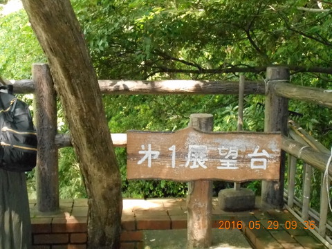 DSCN1214
