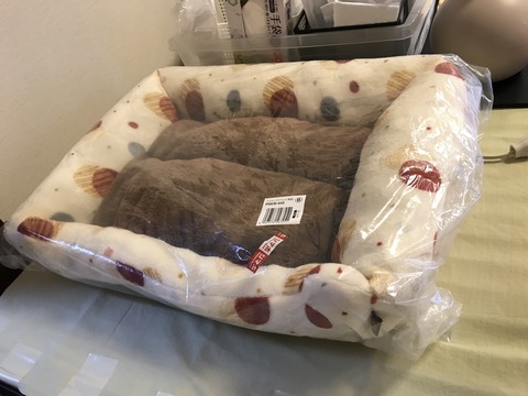 0D2E41CC-915D-4BF1-83DC-08AF90C3E043