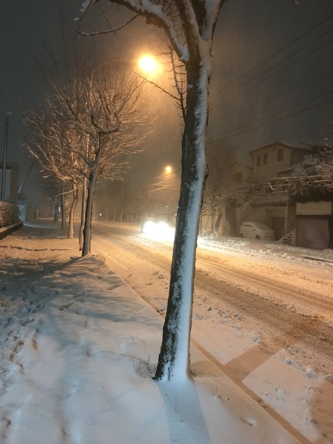 4A53F47D-9BC8-4A9E-A2AD-3906ABF439DB