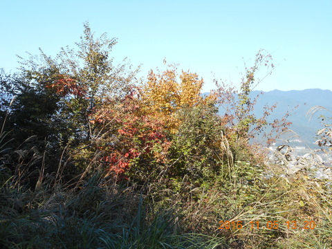 画像101奥高尾 032