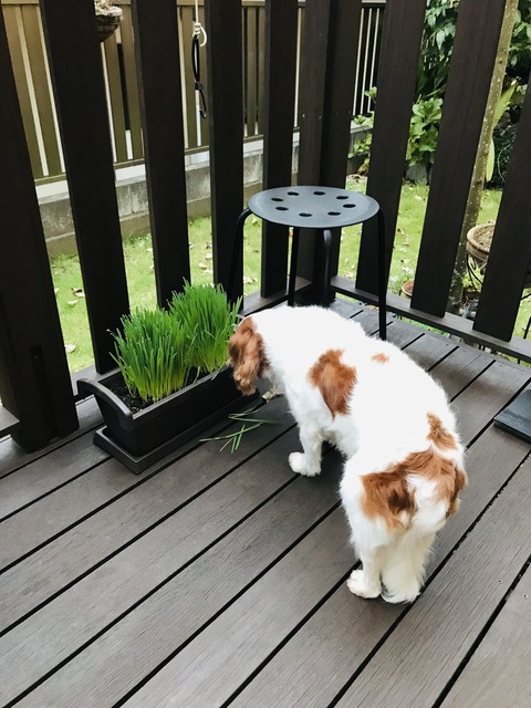 5C35FA7A-EEC6-47BB-9C68-601B205C7691