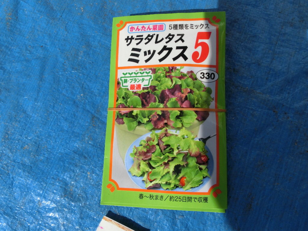 イメージ 4