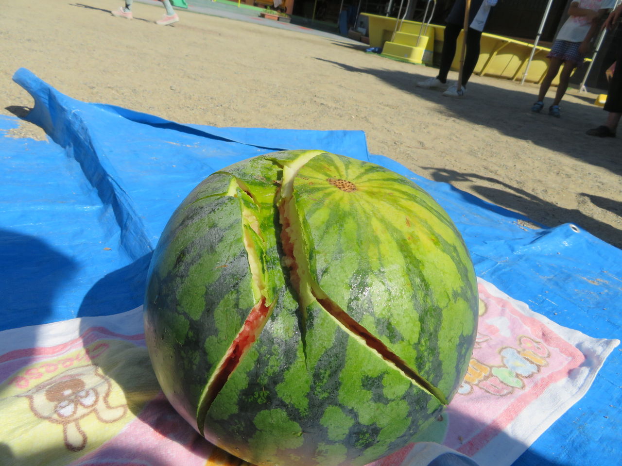 イメージ 18