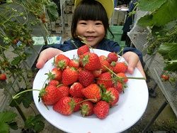 イメージ 16