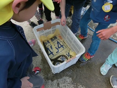 イメージ 15