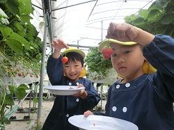 イメージ 6