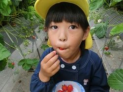 イメージ 10