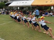 イメージ 32