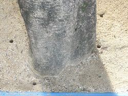 イメージ 6