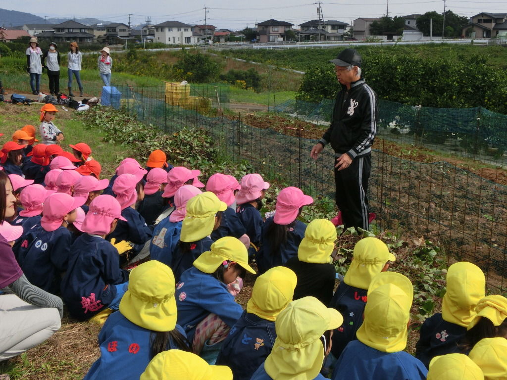 イメージ 3