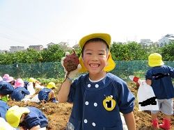イメージ 12