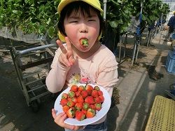 イメージ 4