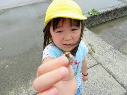 イメージ 16