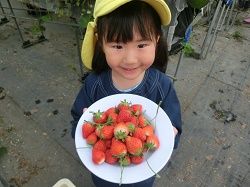 イメージ 15