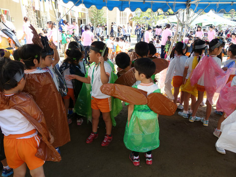 DSC00558