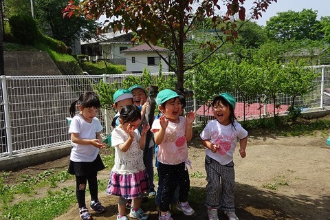 201805164251
