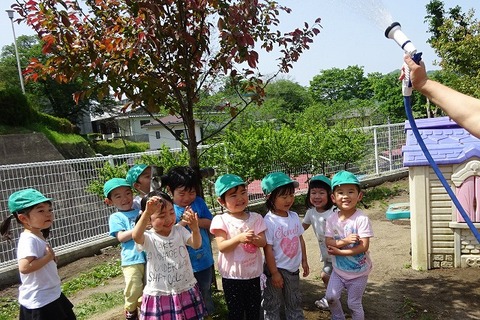 201805164221