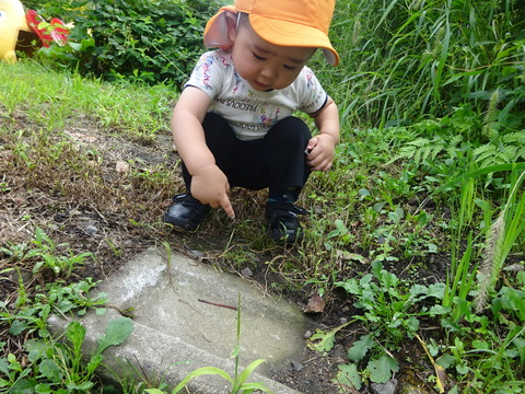 DSC01859
