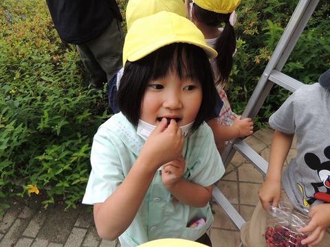 DSCN8558