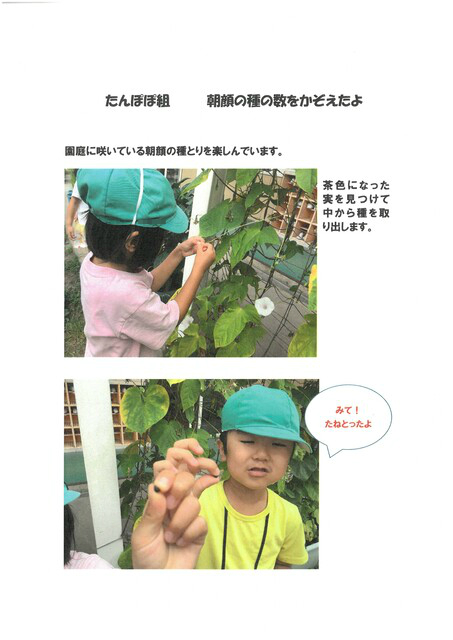 BlogPaint