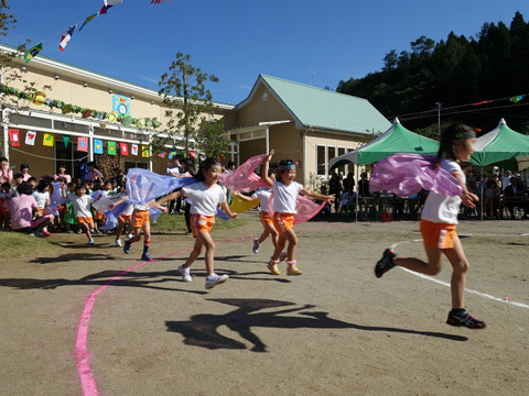 DSC00572
